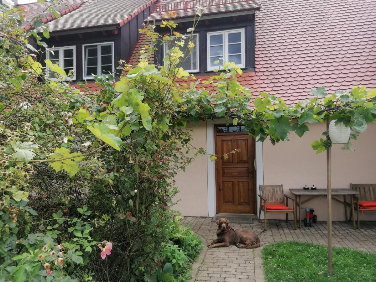 Ferienwohnungen Wastl Fraenkische Schweiz Hiltpoltstein Экстерьер фото